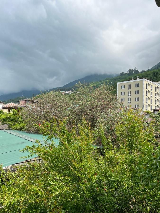 Na Shapsug Guest House Gagra Exterior photo